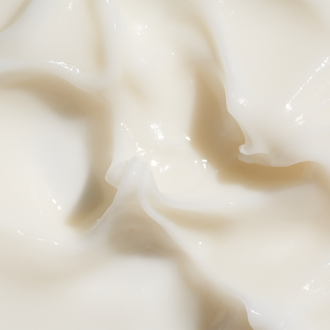 Alt text not provided for this image